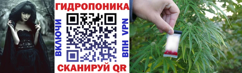 Наркошоп купить КОКАИН  Alpha-PVP  Галлюциногенные грибы  Каннабис  МЕФ  ГАШ  АМФ  Елабуга