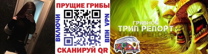 Псилоцибиновые грибы Psilocybine cubensis  Купить  Елабуга 