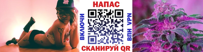 Бошки марихуана план Купить закладки Елабуга